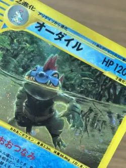 Feraligatr 112/128 1st Edition e Series Expedition 2001 Holo Pokemon Card 884 - Image 16