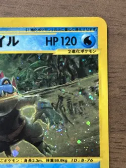 Feraligatr 112/128 1st Edition e Series Expedition 2001 Holo Pokemon Card 884 - Image 28