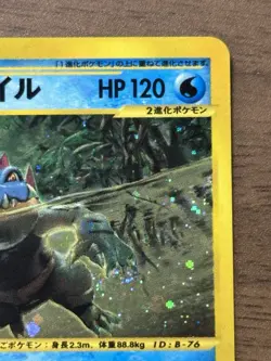 Feraligatr 112/128 1st Edition e Series Expedition 2001 Holo Pokemon Card 884 - Image 4