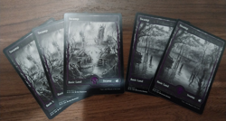 5x Swamp (272 & 273) - NM - Innistrad: Midnight Hunt - SPARROW MAGIC - Image 2