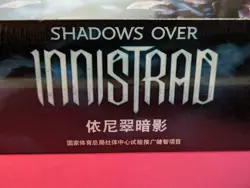 Magic The Gathering MTG Shadows Over Innistrad *CHINESE* Booster Box NEW/SEALED - Image 2