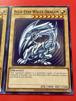 3x Blue-Eyes White Dragon | SDK Art | LDK2-ENK01 | NM | Common | Yu-Gi-Oh! - Image 7