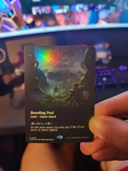 Breeding Pool - Borderless R MTG Edge of Eternities NM non-foil - Image 1