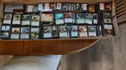 Magic Card Collection 2000 Cards Includes Foils Rares Uncommons & Possible... - Image 3