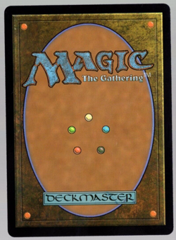 Thundering Falls 0269 Surveil Land Non Foil Rare Karlov Manor MTG Near Mint - Image 4