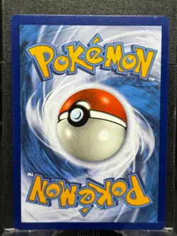 #066/196 Gengar : Rare Holo Card : Trick or Trade 2023 Pokemon Trading Card Game - Image 3