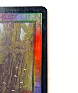 Magic The Gathering 2000 Forest Land Card Foil #350 Green Mana - Image 3