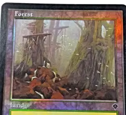 Magic The Gathering 2000 Forest Land Card Foil #350 Green Mana - Image 4