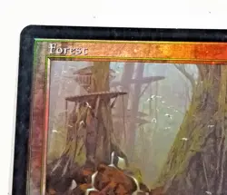 Magic The Gathering 2000 Forest Land Card Foil #350 Green Mana - Image 5