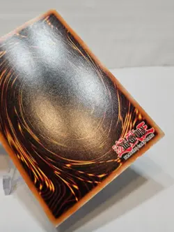 Harpie's Feather Duster SDD-003 Secret Rare Yugioh 7109 - Image 12
