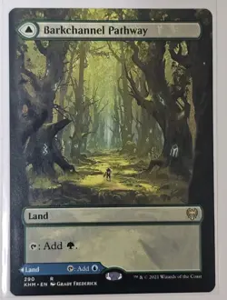 Mtg- Barkchannel Pathway (Borderless) - Kaldheim (KHM) - Rare - NM - Image 1