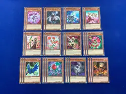 Yu-Gi-Oh! 5D's - Akiza Izinski's Complete Rose Dragon & Plant Synchro Deck - Image 4