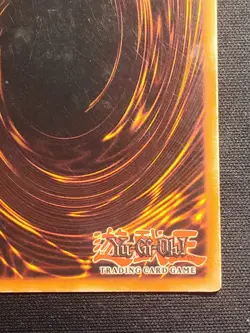 Red Eyes Black Dragon BPT-005 Secret Rare Limited Edition Yu-Gi-Oh Card MP - Image 9