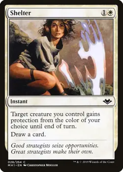 Shelter Modern Horizons Regular - Image 1