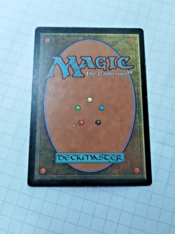 Forest - Portal - Basic Land - 1997  MTG - Some Edge Wear - See Pics - Image 10