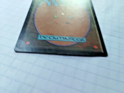 Forest - Portal - Basic Land - 1997  MTG - Some Edge Wear - See Pics - Image 11