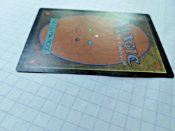 Forest - Portal - Basic Land - 1997  MTG - Some Edge Wear - See Pics - Image 12