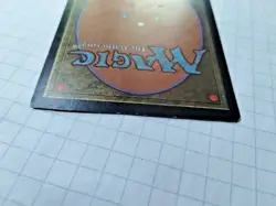 Forest - Portal - Basic Land - 1997  MTG - Some Edge Wear - See Pics - Image 6