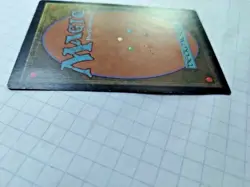 Forest - Portal - Basic Land - 1997  MTG - Some Edge Wear - See Pics - Image 7