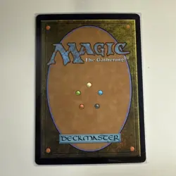 Exemplar of Light Foundations Foil - Image 2