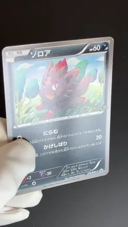 Zorua 116/BW-P Dark Rush Promo 2011 LP Condition Japanese Pokemon Card - Image 2