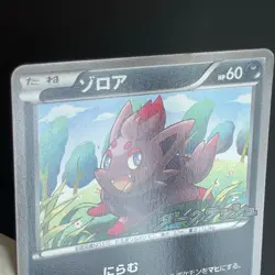 Zorua 116/BW-P Dark Rush Promo 2011 LP Condition Japanese Pokemon Card - Image 21