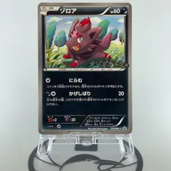 Zorua 116/BW-P Dark Rush Promo 2011 LP Condition Japanese Pokemon Card - Image 27