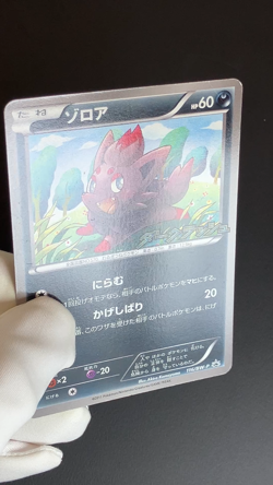 Zorua 116/BW-P Dark Rush Promo 2011 LP Condition Japanese Pokemon Card - Image 28