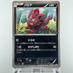 Zorua 116/BW-P Dark Rush Promo 2011 LP Condition Japanese Pokemon Card - Image 4