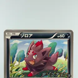 Zorua 116/BW-P Dark Rush Promo 2011 LP Condition Japanese Pokemon Card - Image 6