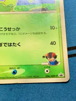 Ash's Treecko Pokemon Card 036/ADV-P Shogakukan Promo 2003 Glossy Japanese #2077 - Image 7