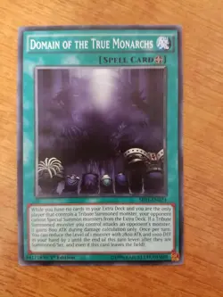 Yugioh Cards Domain of the True Monarchs (SR01-EN024) 1st Edition Common NM Cond - Image 5