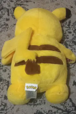 USED Pokemon Cards, Coins,  And Pikachu Plush Lot [READ DESC] - Image 13