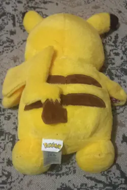 USED Pokemon Cards, Coins,  And Pikachu Plush Lot [READ DESC] - Image 5