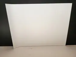 MAGIC THE GATHERING FINAL FANTASY FOIL PROMO POSTER FIRION WILD ROSE MTG 18"x24" - Image 10