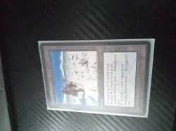 Adarkar Wastes Ice Age Regular - Image 13