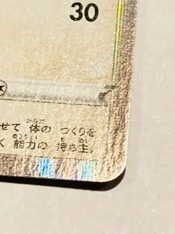 Eevee Promo Pokemon Foil Card 100/S-P Pocket Monster Rare Nintendo From Japan - Image 5