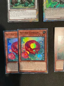 Yugioh Naturia Beast Barkion 7 Cards Deck Core - Image 10
