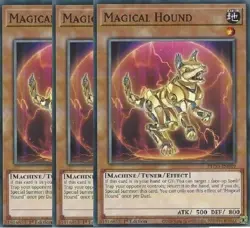 Yugioh - Magical Hound x 3 - 1st Edition LP - Plus Free Holographic Card - Image 1