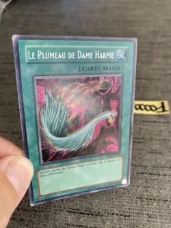 Yu-gi-oh! Card Le Plumeau De Dame Harpie WC4-F003 Secret Rare French Used - Image 11