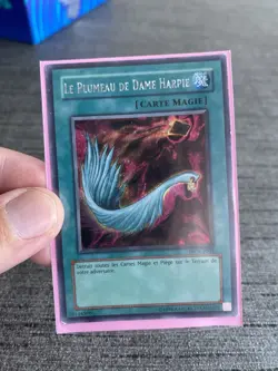 Yu-gi-oh! Card Le Plumeau De Dame Harpie WC4-F003 Secret Rare French Used - Image 7