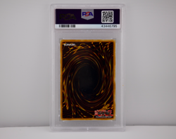 Gamma the Magnet Warrior DOR-003 Duelist of the Roses Unlimited - Image 7