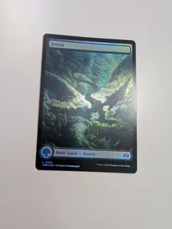 MTG - Forest 0276 (Foil) - Tarkir Dragonstorm NM/M Condition - Image 1