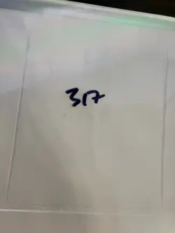 Magic The Gathering: Alpha Healing Salve MTG Alpha - Image 3