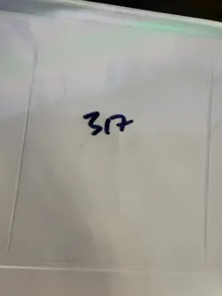 Magic The Gathering: Alpha Healing Salve MTG Alpha - Image 6