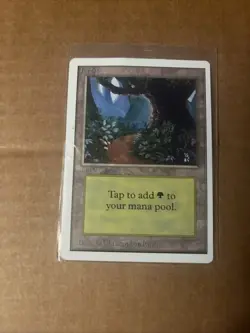 Forest (B) Unlimited Edition Regular - Image 1