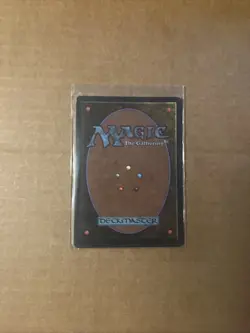 Forest (B) Unlimited Edition Regular - Image 3