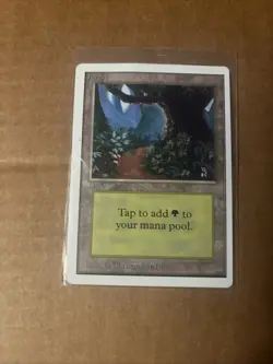 Forest (B) Unlimited Edition Regular - Image 4