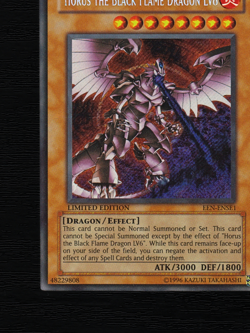 Yu-Gi-Oh Horus the Black Flame Dragon LV8 EEN-ENSE1 Limited Secret Rare NA 2005 - Image 16