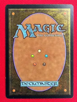 MTG 1X Pendrell Mists X1 Weathgerlight Magic - SP/NM - Image 2